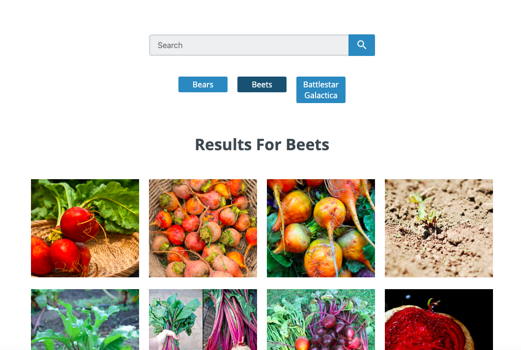 Clicking on the search "Beets"